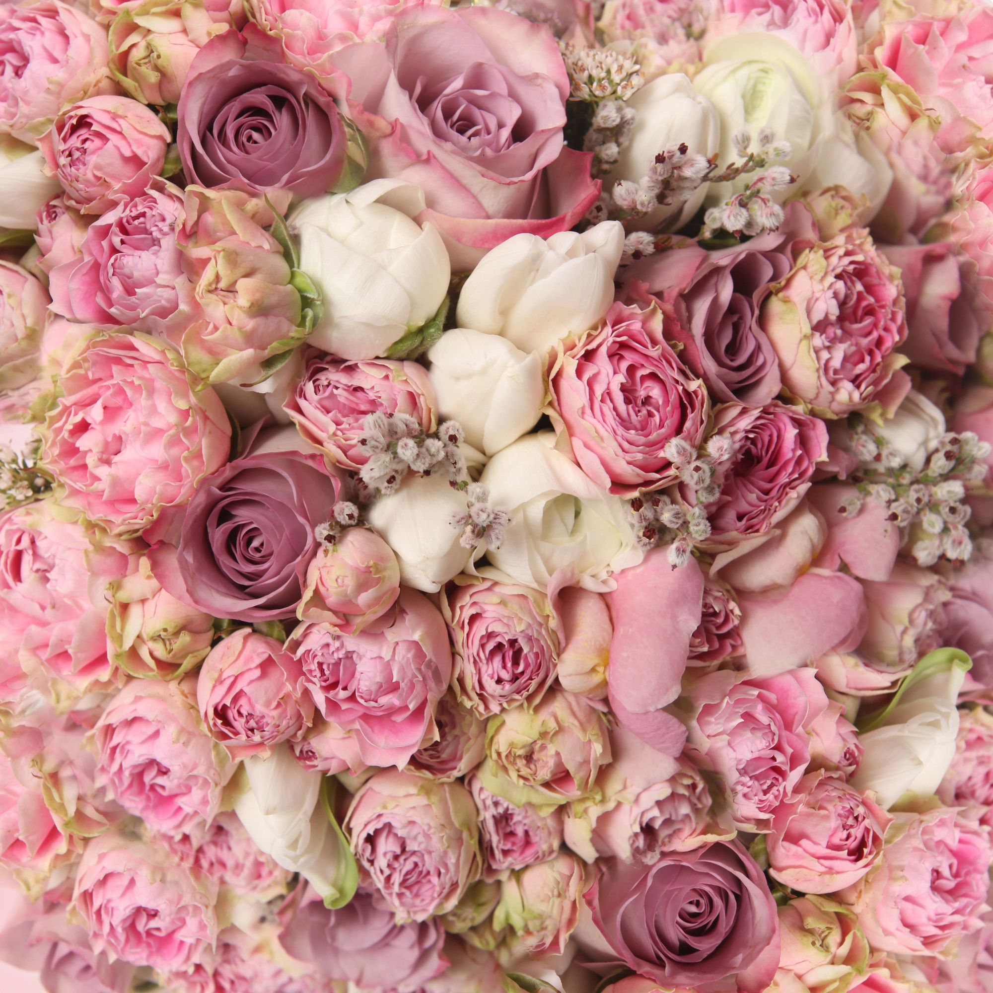 Wedding bouquet with rose bush